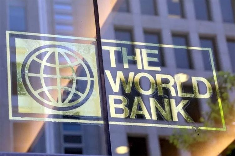 Human Capital Umbrella Program 2023 by The World Bank | Humakina